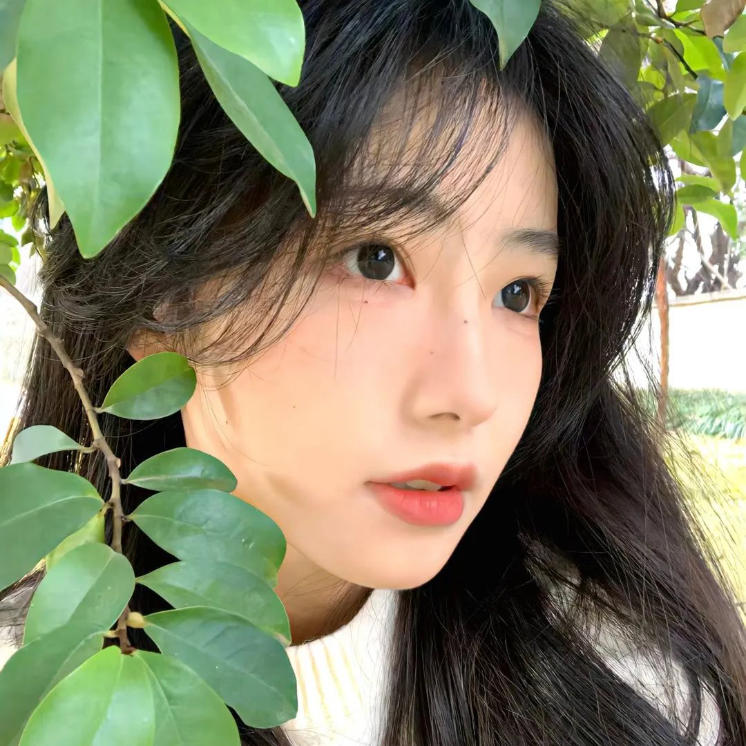 圈套3 封面